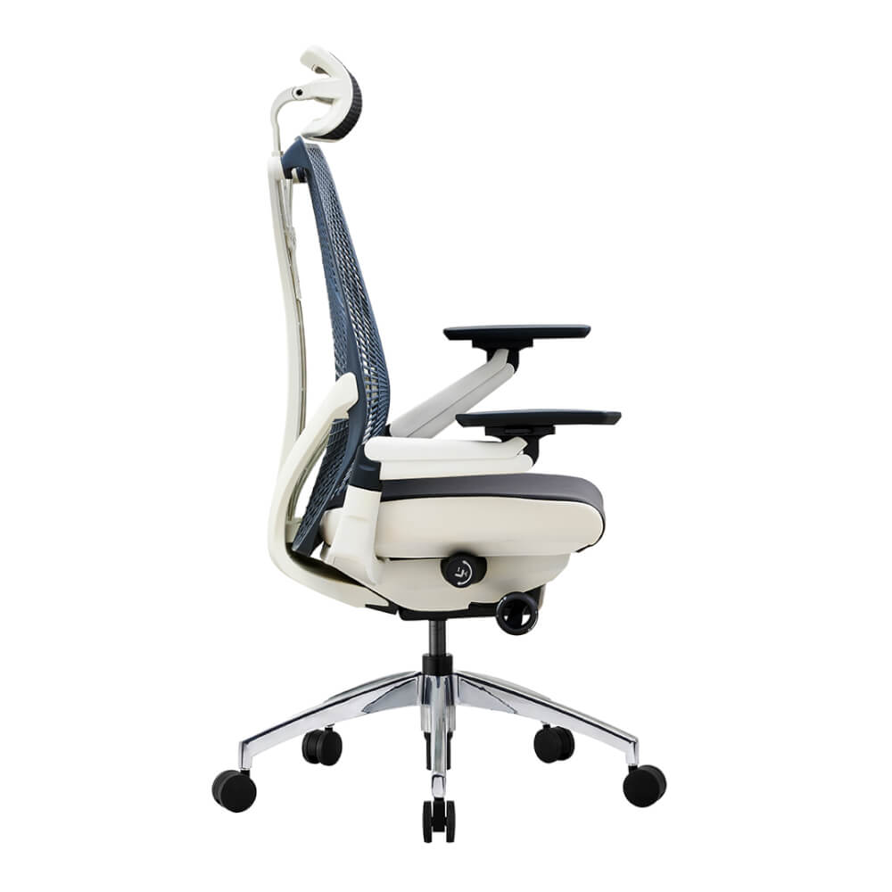 เก้าอี้เพื่อสุขภาพ DF PROCHAIR รุ่น iCare สีขาว